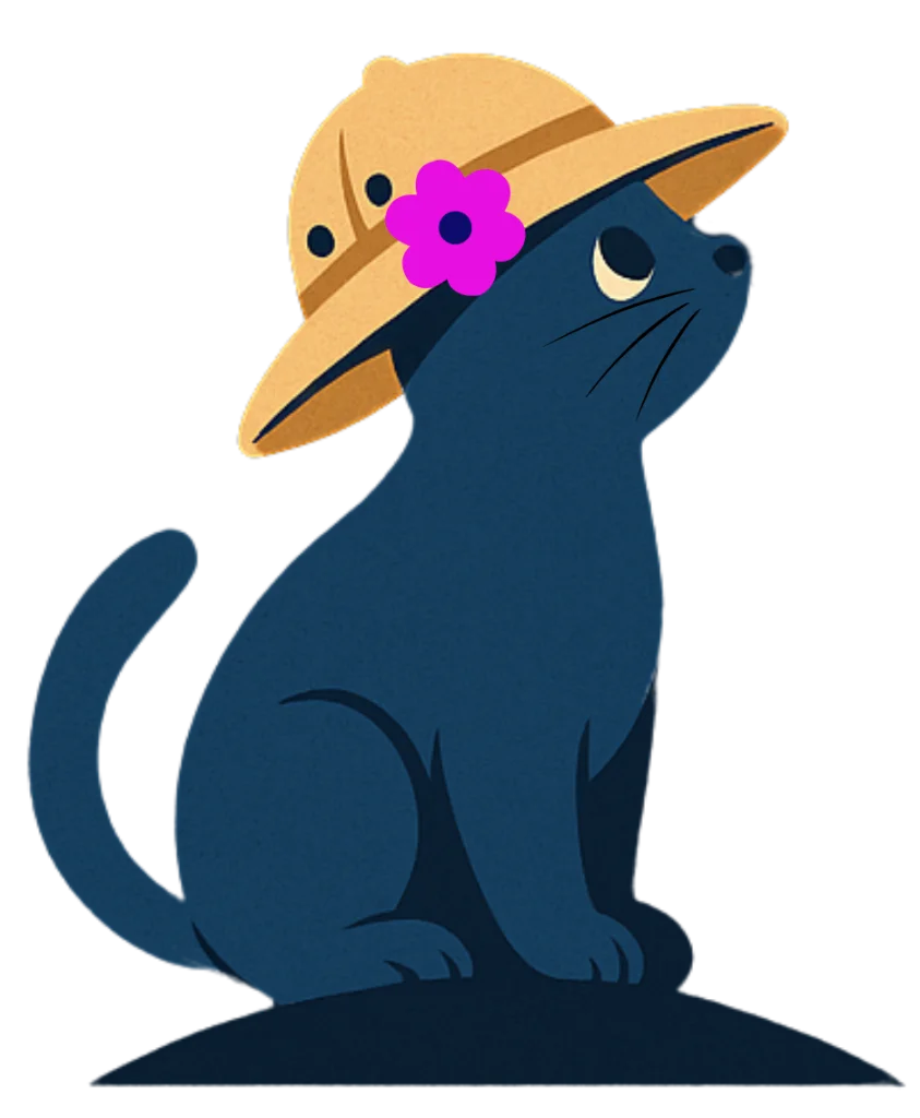 Gato Plan Explorador