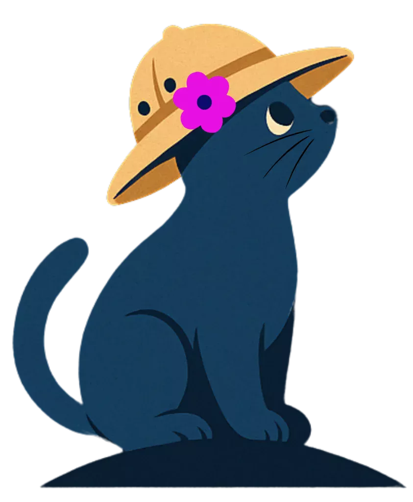 Gato Plan Explorador