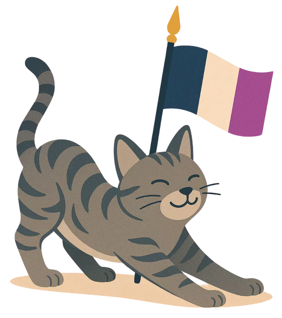 Gato Plan Super Confianza