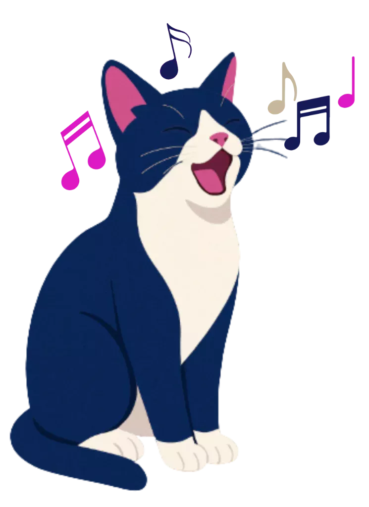 Gato Plan Miau Express